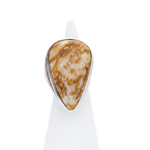 Anello in Argento con Legno Fossile