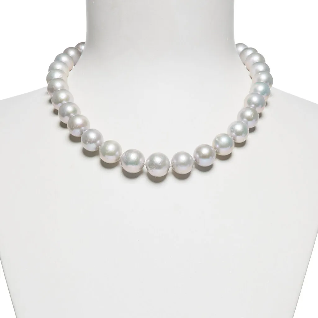 Collana corta in Perle d'acqua dolce Grigie