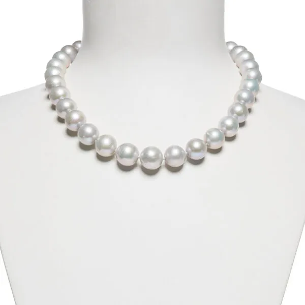 Collana corta in Perle d'acqua dolce Grigie