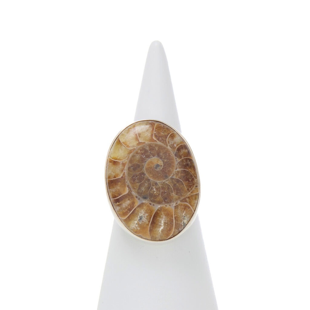 Anello in Argento con Ammonite