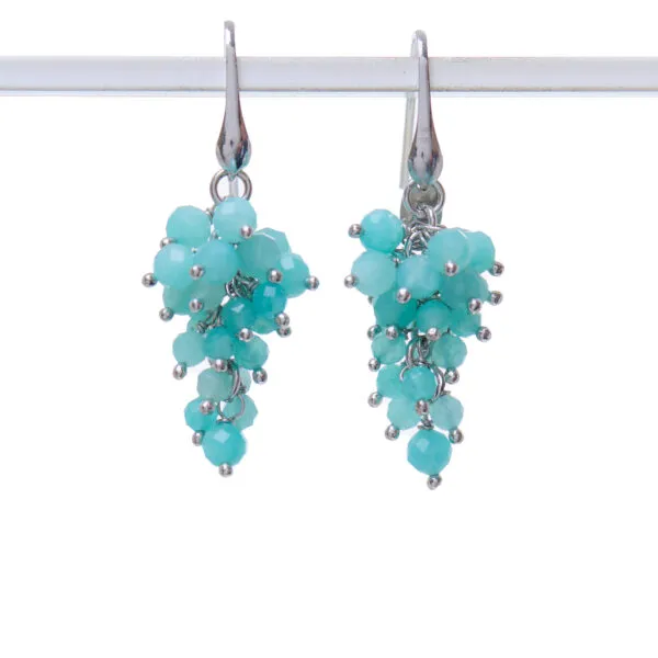 Orecchini in Amazzonite ed Argento