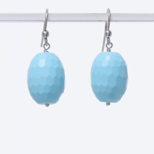 Orecchini in Pasta di Turchese ed Argento