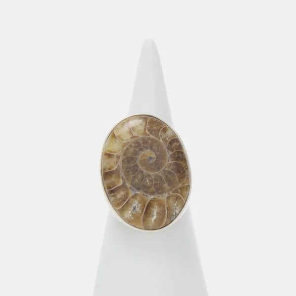 Anello in Argento con Ammonite